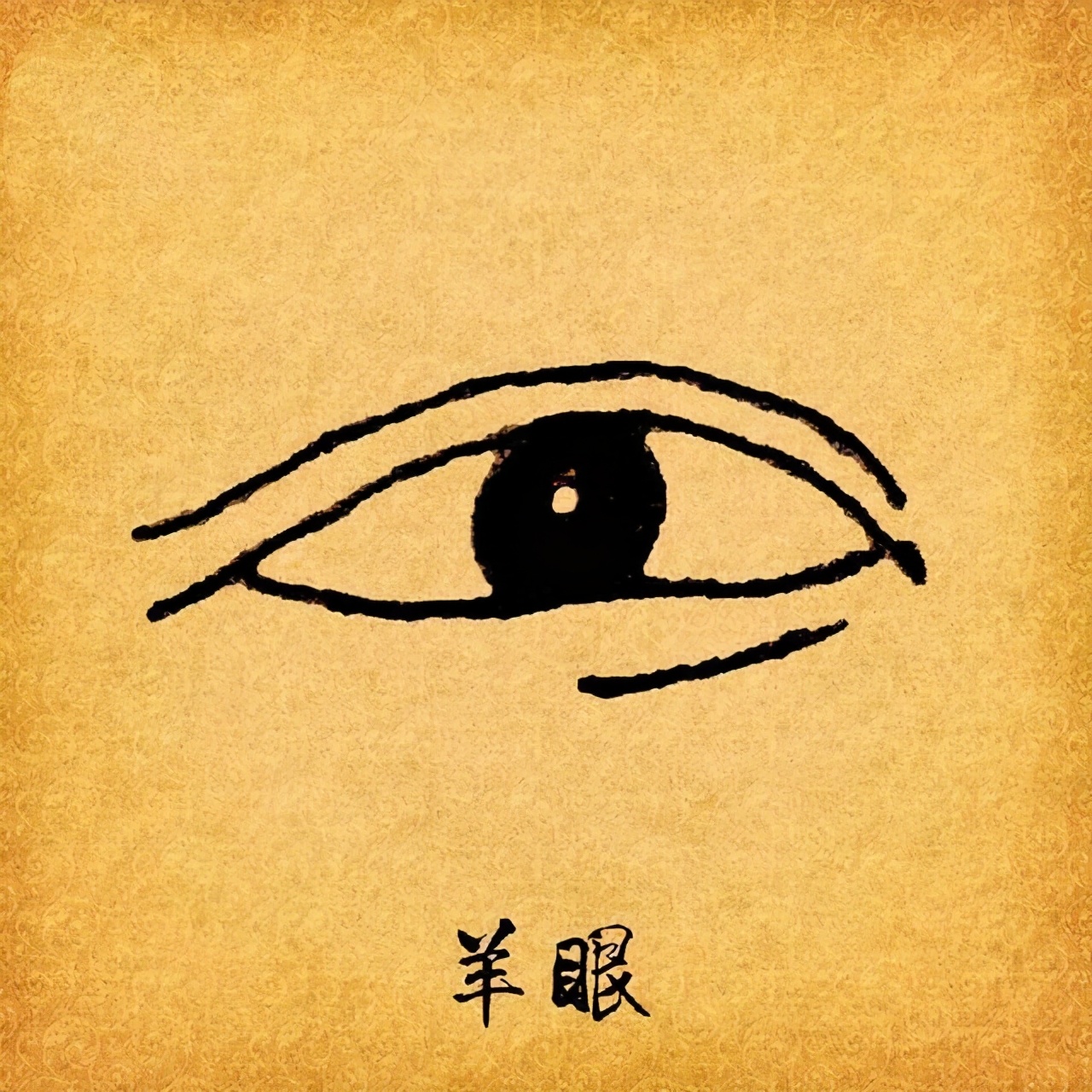 为啥说“鸡眼鼠目总是贱,蛇眼羊目莫为邻”?老祖宗的话有道理吗