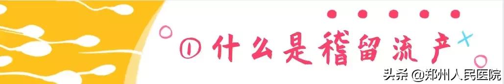 这个小镜子,照看着世上最贵的“房子”