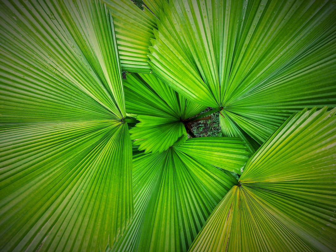 摄影审美练习,摄影观察力培训