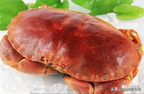 十种最美味海鲜,100种常见海鲜大全图