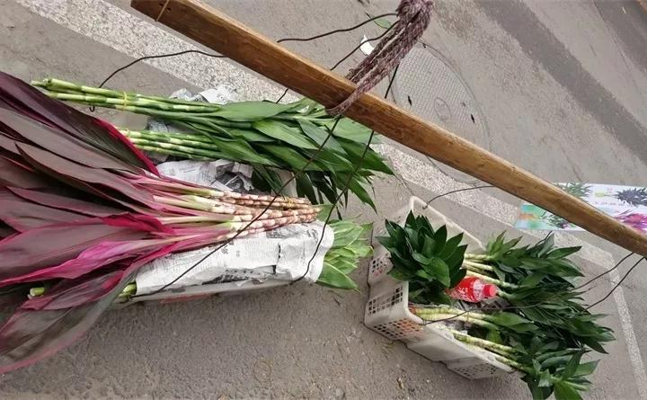 盆栽花发蔫什么原因,买回来的花很快就蔫的原因