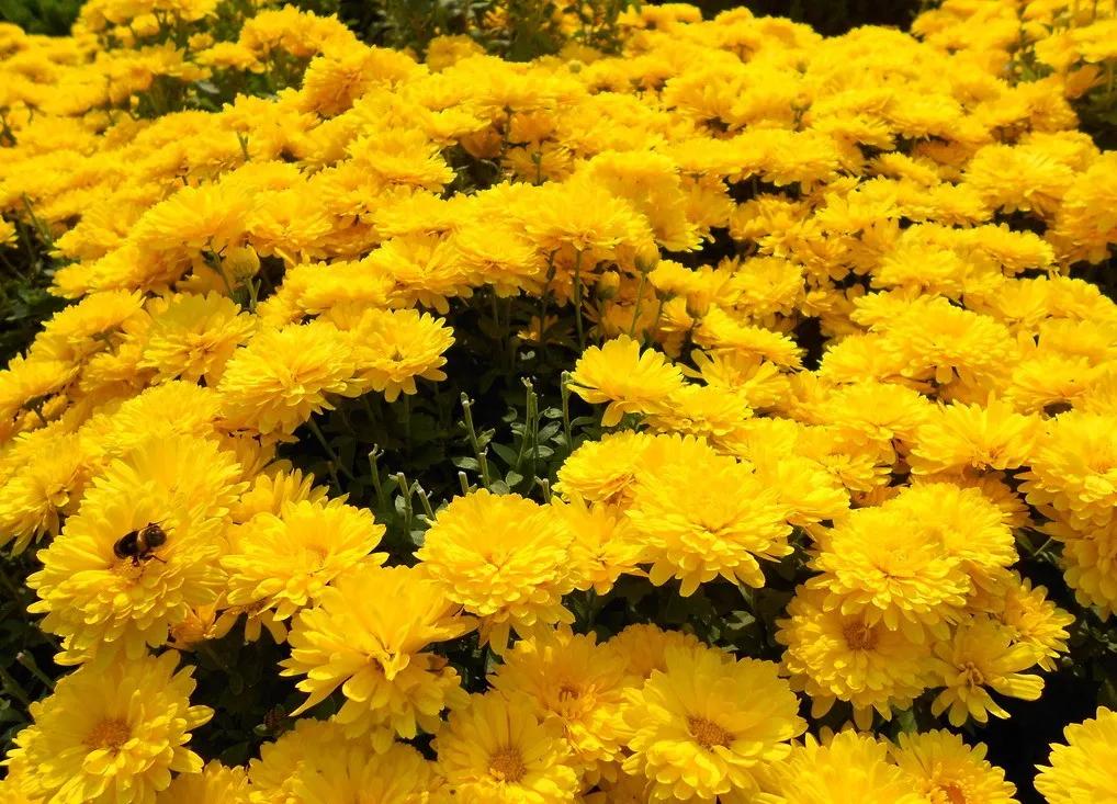 这里是遂宁,射洪介绍