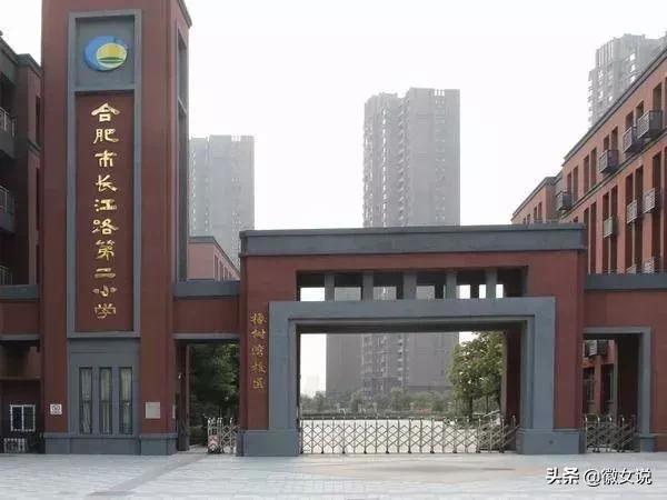 合肥优质小学排名,合肥小学排名100强一览表