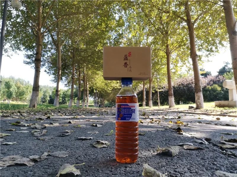 一任天真盈香易泡：冷泡，闷泡，淋泡轮番上阵怎么泡都好喝