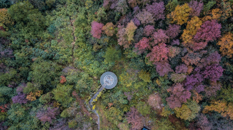 仙女山归原小镇多少钱,仙女山归原小镇旅游攻略