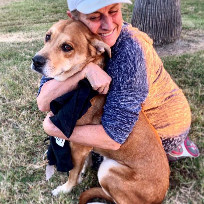 狗狗被救助很开心,狗狗被放在笼子里救助