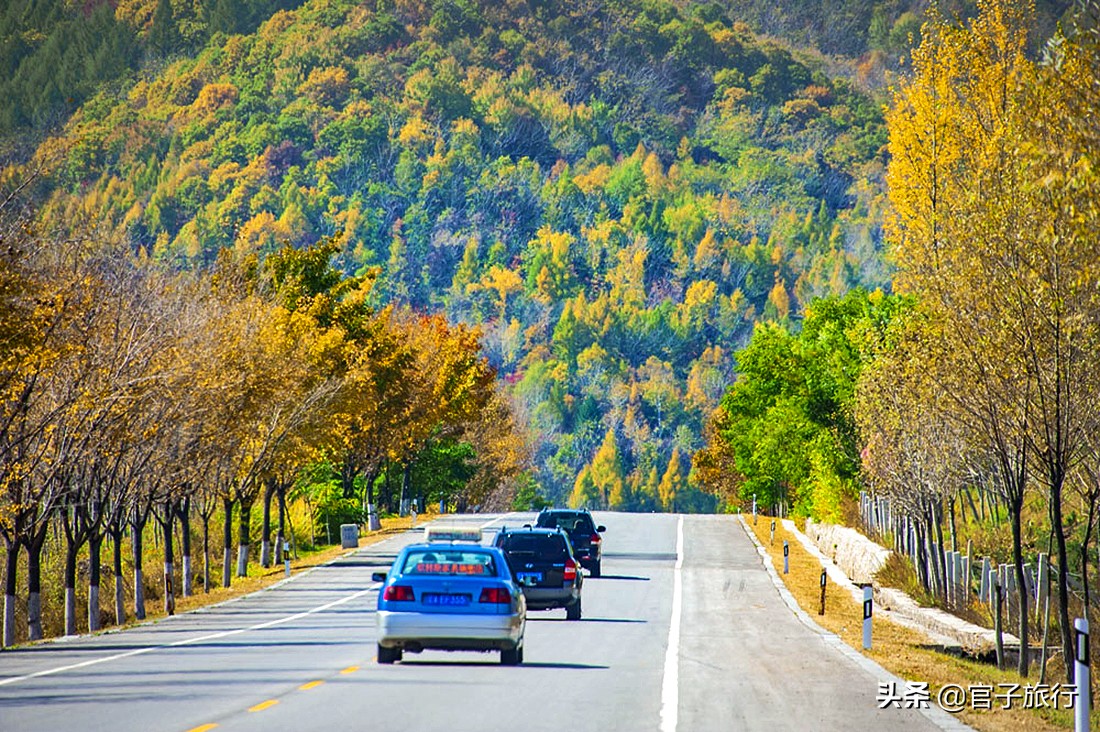 中华枫叶之路自驾游攻略,中华枫叶大道自驾游路线