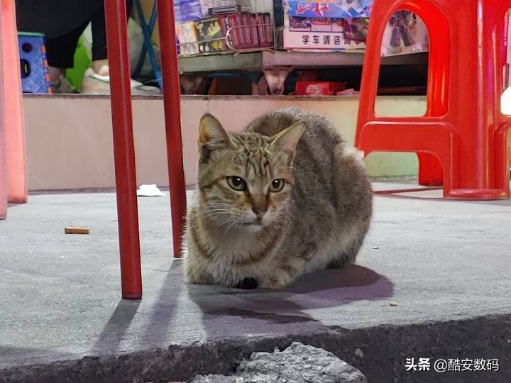 lgg8最大缺点,lgg8深度解析