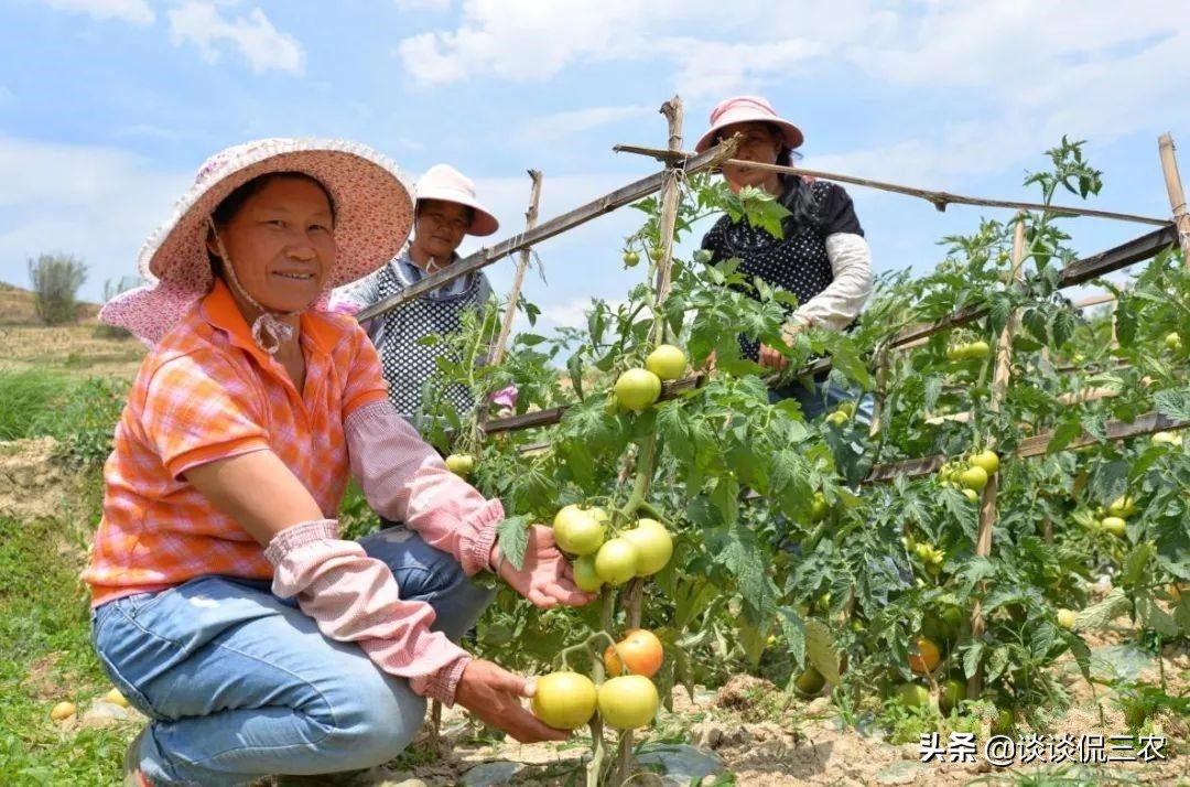返乡创业好项目,返乡创业什么最赚钱