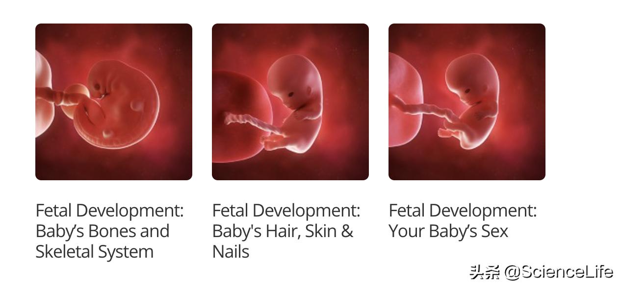 胎儿胎动踢脚,孕中期胎动踢脚