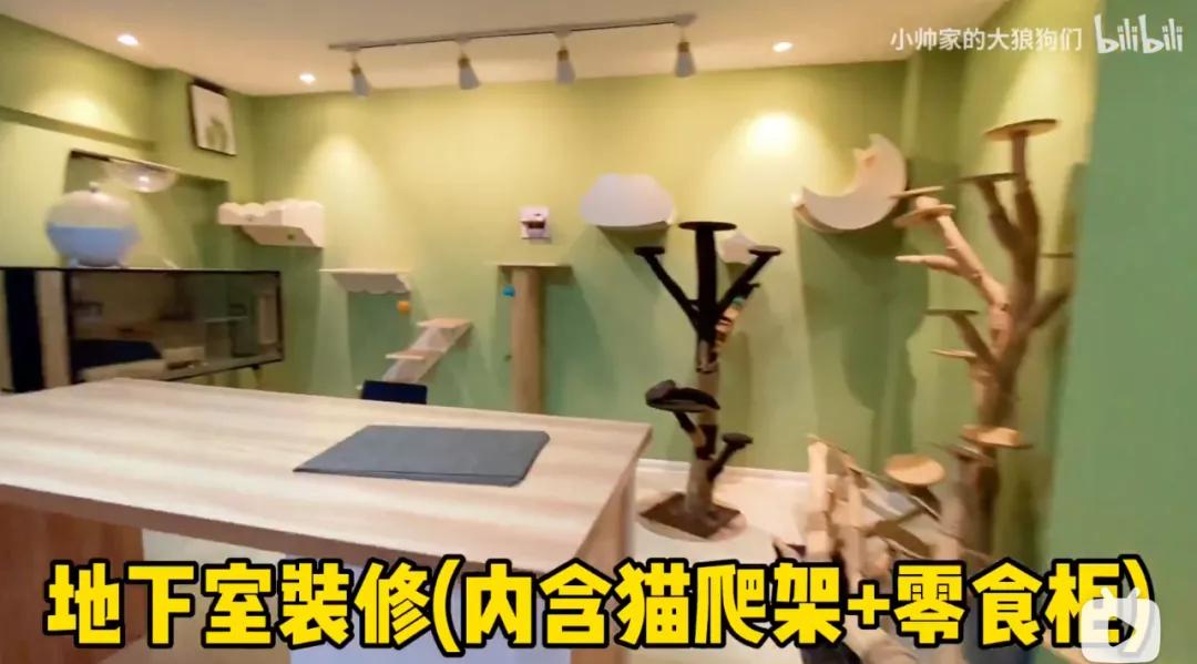 花三年建宠物乐园,花20万给狗打造乐园