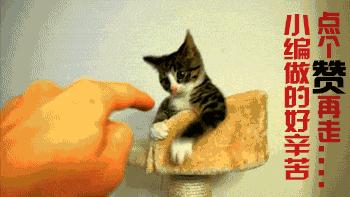 搞笑动态小短腿图,搞笑动图gif骑自行车