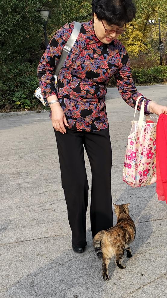 江淮文化园：苏北一颗璀璨明珠