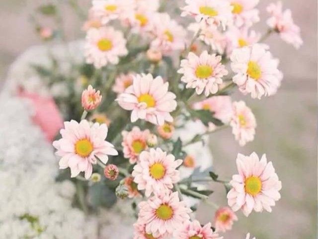 婆婆让我买香水,婆婆叫买香水