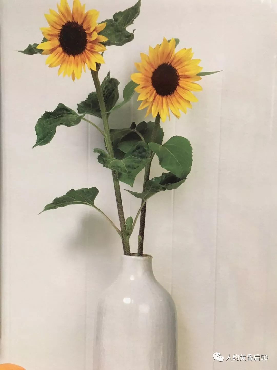 150条定律是什么,150定律视频全集