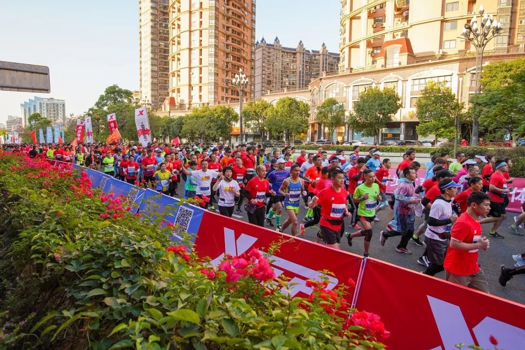 五年的约定日语,五年的约定独白