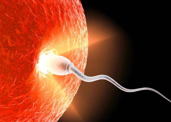 “精子”进入女人体内没“受精”,去了哪里呢?看完或许就了解了