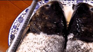 在合肥能吃到全中国的美食,合肥最好吃的鱼头汤滨湖