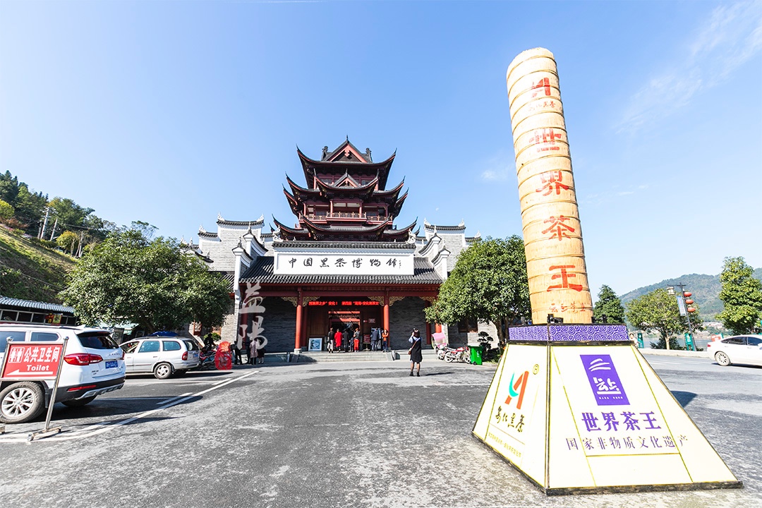 安化千两茶的四大优势,安化千两茶前世今生