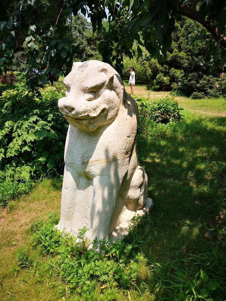 漫步北大校园,北大印象图片