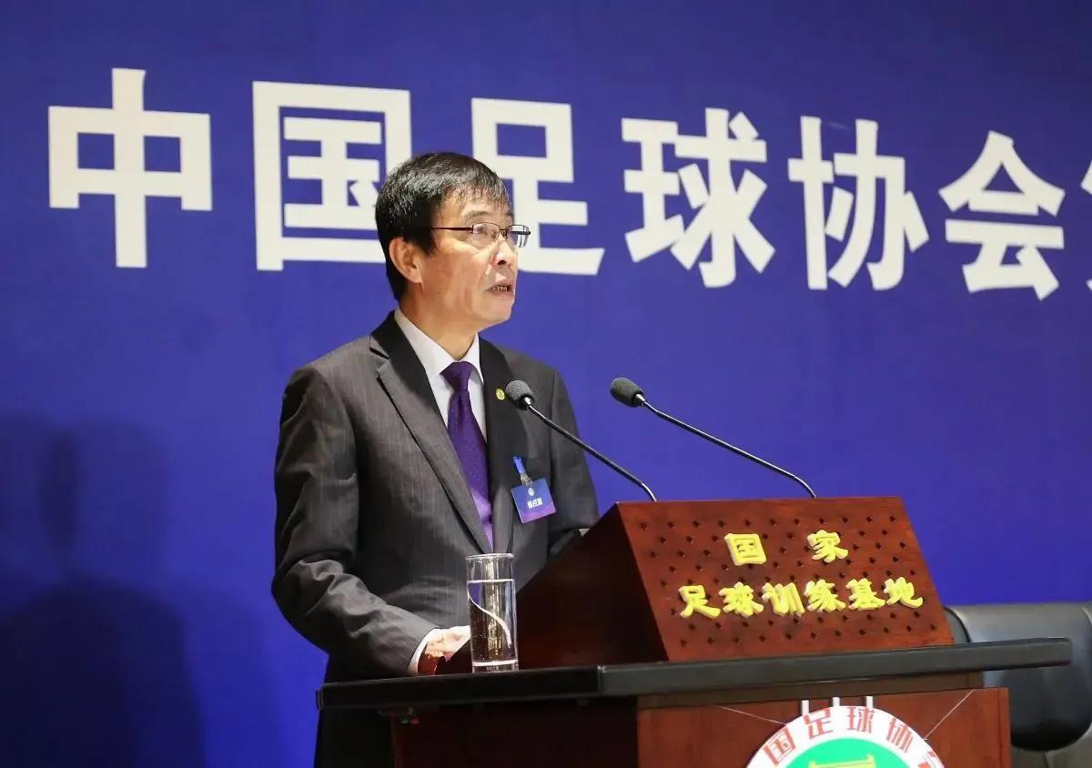 里皮实力怎么样,里皮有多强