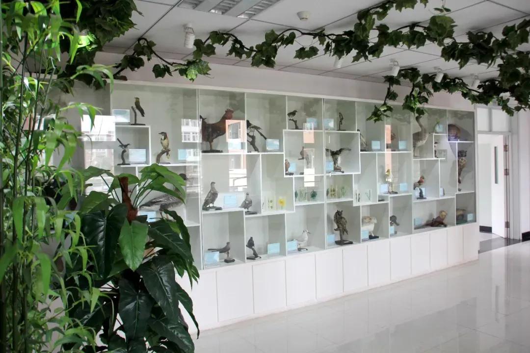 天津市第五十四中学高中,天津市第二十五中学在天津排名