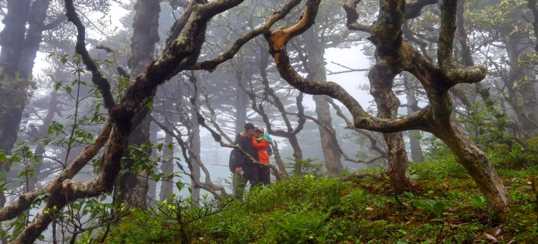 2023平遥国际摄影节获奖摄影作品,2009大理摄影展获奖作品