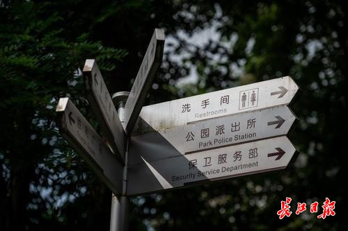 鍑哄彛cif鎶ユ垚fob瀵规敹璐т汉鏈夊奖鍝嶅悧,鍑哄彛缈昏瘧鎴恊xport