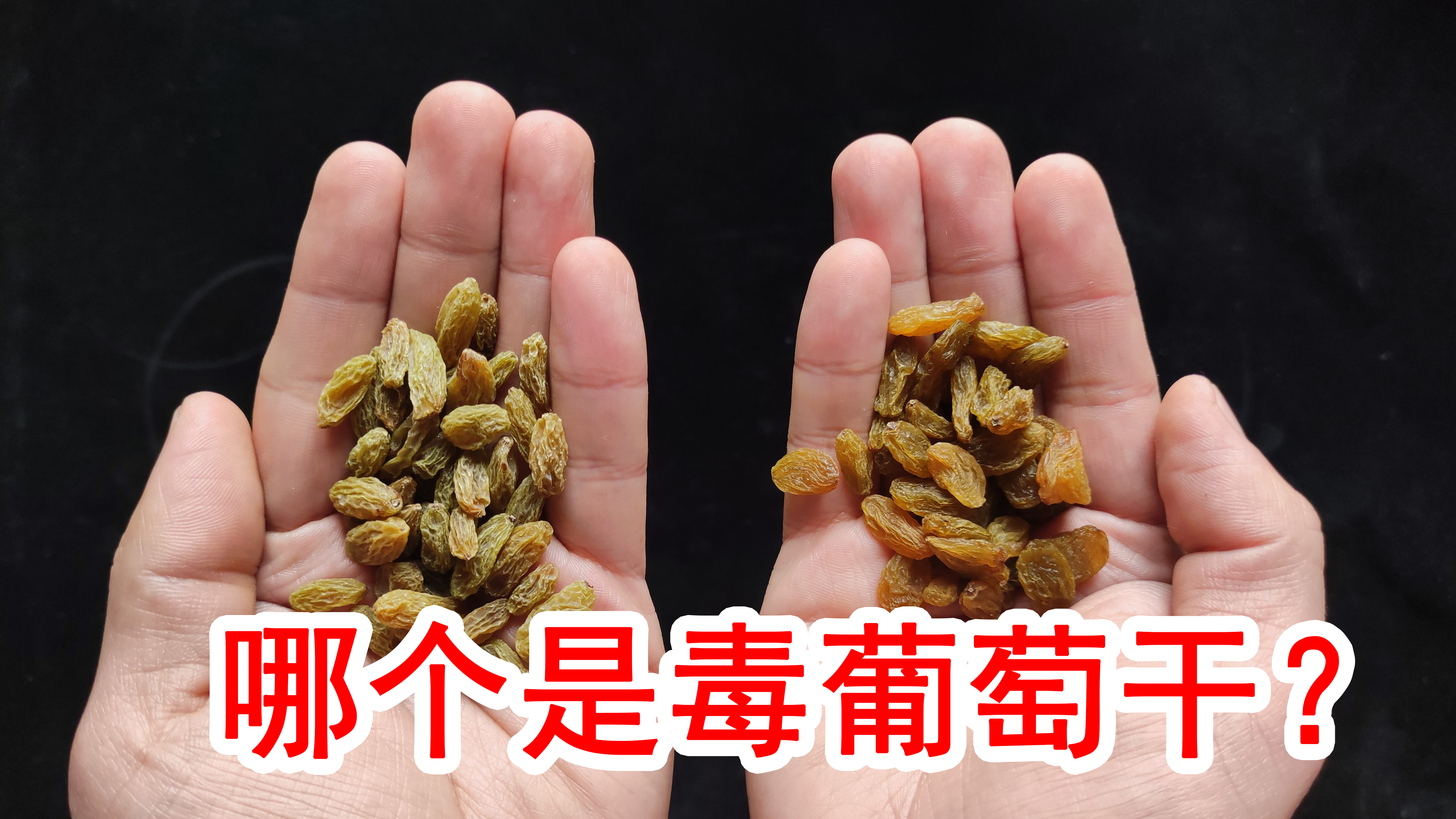 硫磺熏的葡萄干如何吃才健康,硫磺熏葡萄干怎么检测