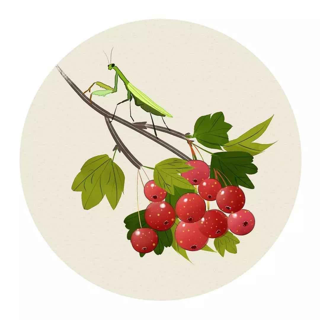 3000对偶佳句,3000个好词好句摘抄