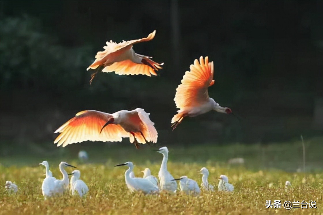 山西与陕西的英文拼写的区别,山西和陕西在英文上怎么区别