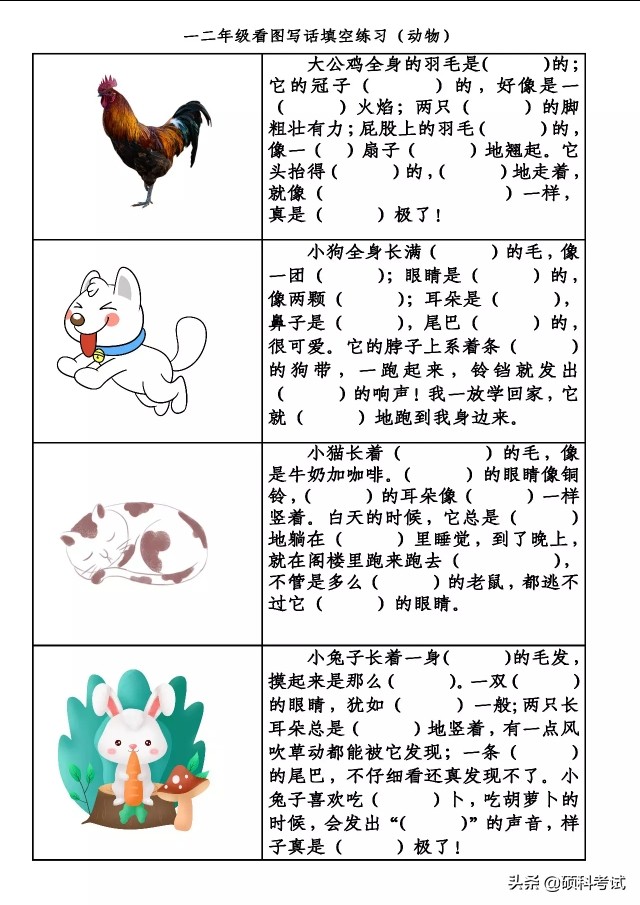 一年级看图写话小猫小狗蓝天白云,小兔和小猴大公鸡山羊看图写话