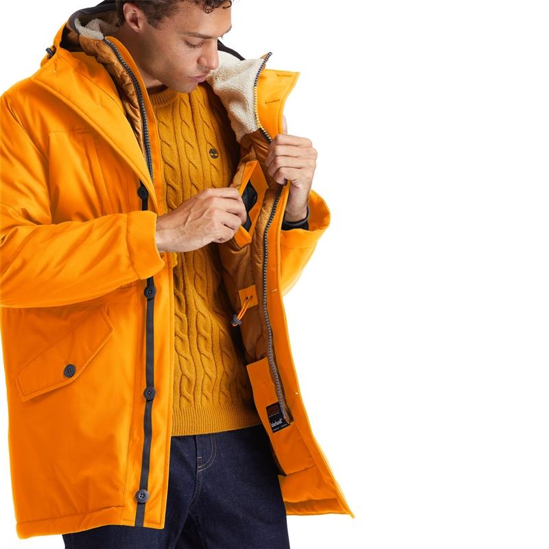 始祖鸟加拿大鹅保暖性,始祖鸟北面加拿大鹅