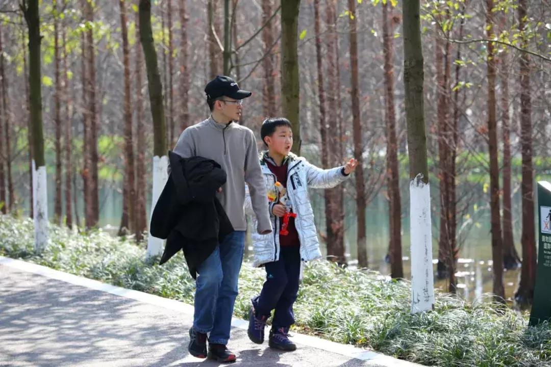 3月底天府绿道哪段最美,天府绿道介绍及特色