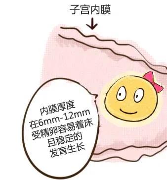 子宫内膜太薄了该怎么调理,子宫内膜0.7是厚还是薄