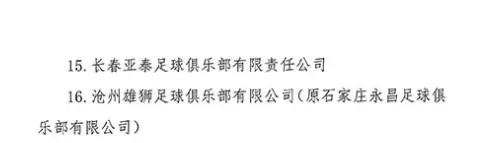 金元足球最大的缺点,江苏金元足球队