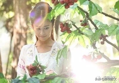 苍岩山公主传说,苍岩山传说