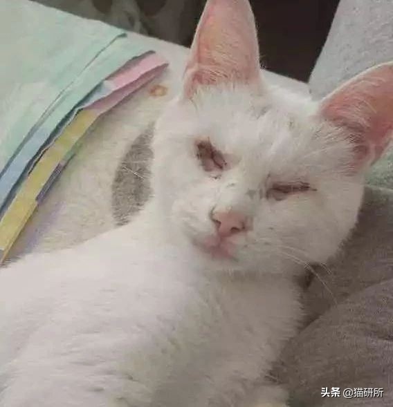 万里挑一加盟,万里挑一高手在哪里