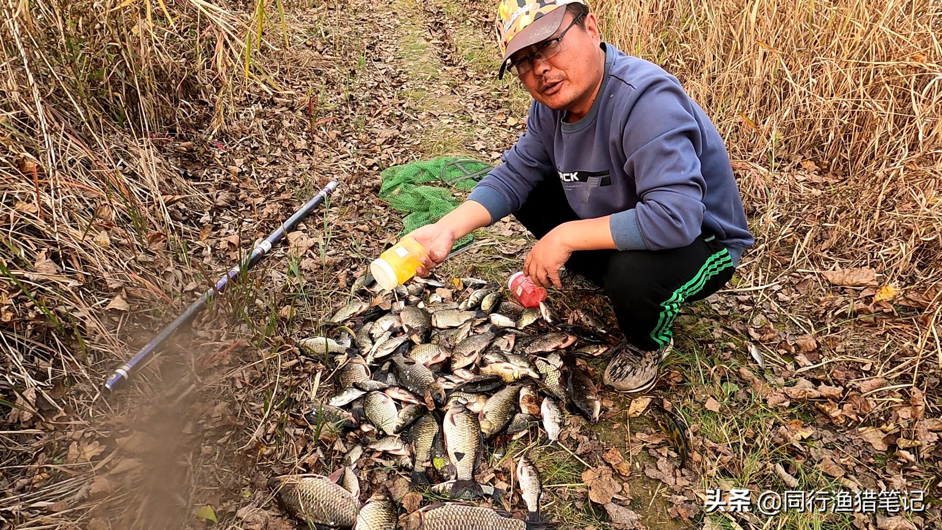 酒米加伴侣开饵料,酒米怎么泡才能上鱼