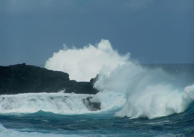 我对女足主帅的赞美像海一样