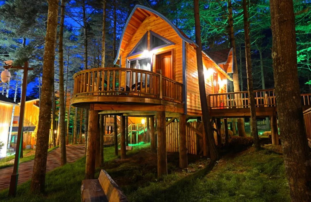 白云山景区民宿一家五口,白云山森林小屋民宿