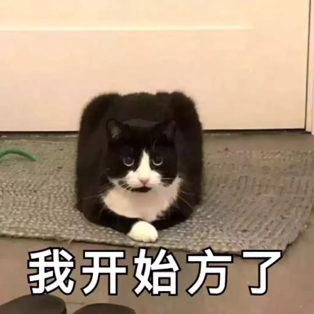 分数不够能不能上研究生,分数不够也能上浙大