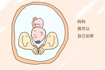 孕晚期入盆有褐色分泌物怎么回事,孕晚期是慢慢入盆还是一下就入盆