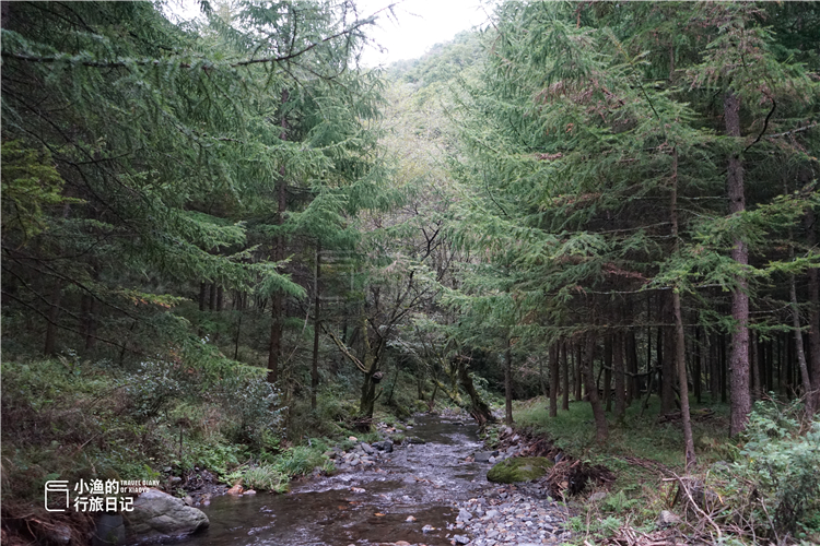 秦岭山谷中的桃花源,秦岭深处一座美丽的世外桃源