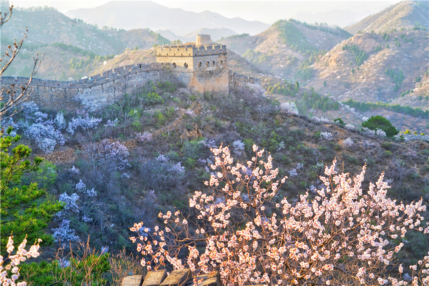 了不起的长城最新视频,了不起的长城是哪一期