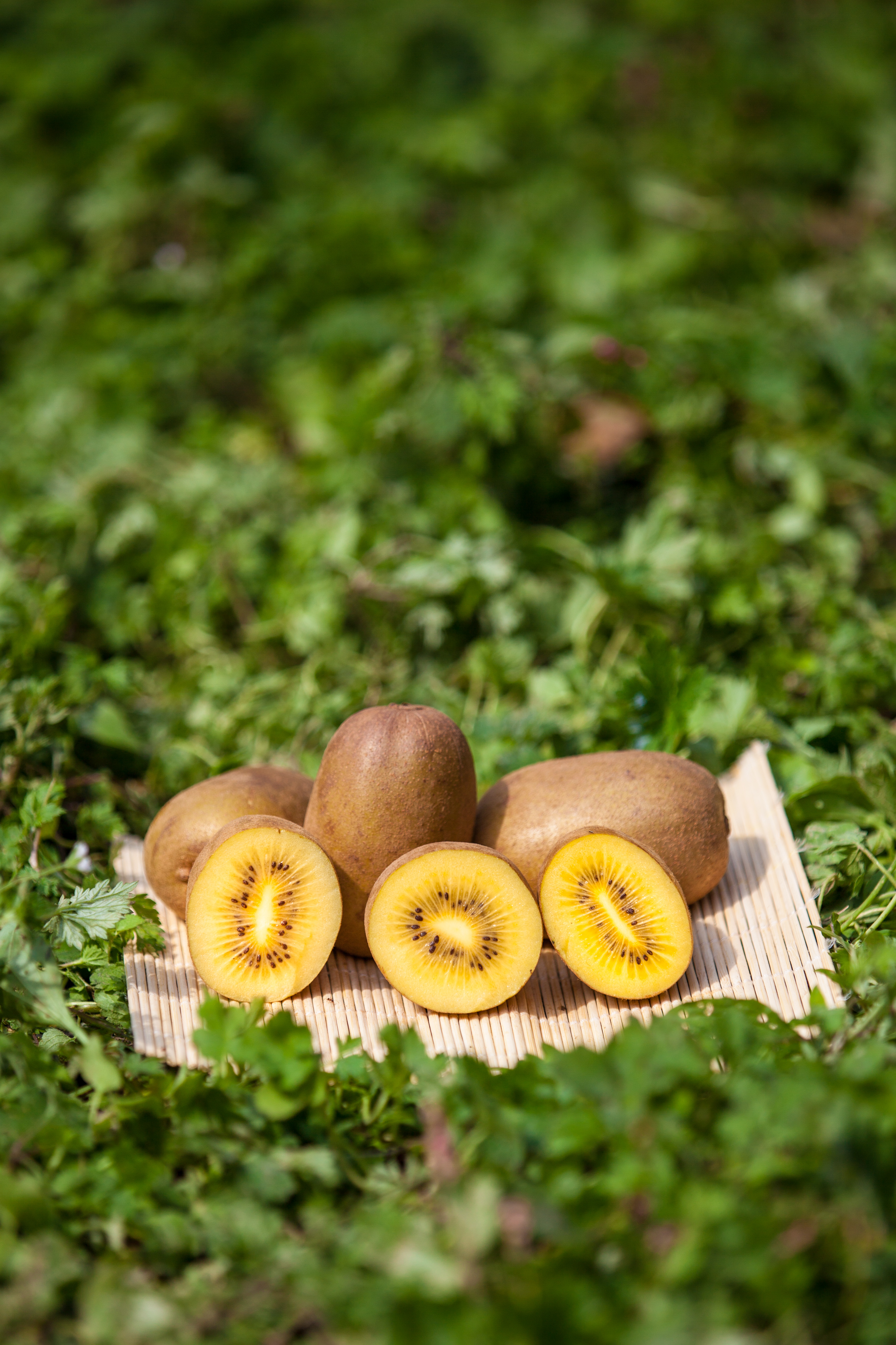 适合孕妇高血糖的水果,适合孕妇血糖高吃的水果有哪些