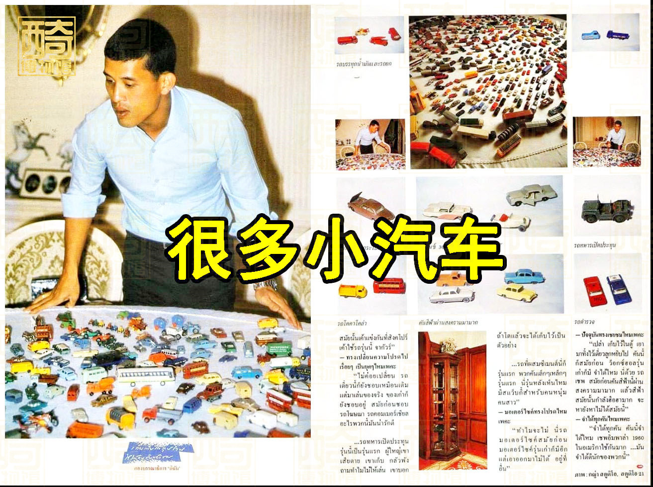 泰王玛哈飞机起飞,泰王玛哈有多少车