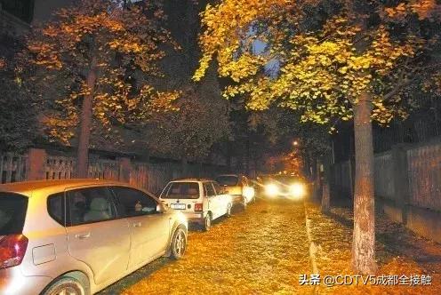 成都新发展理念的公园城市示范区,成都发展新篇章