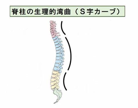 宝宝多大用枕头最合适,宝宝枕头怎么选才是正确的
