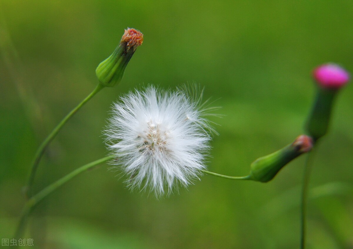 货运公司买货车被骗怎么投诉,买货车送货源被骗